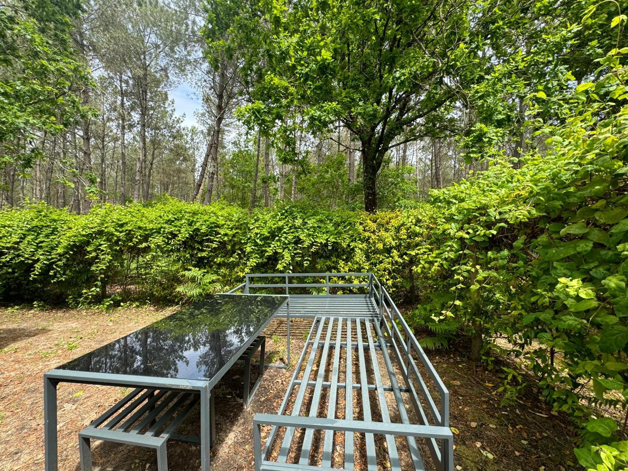 Vacances Sous Les Pins, Pres De La Mer, 6-8 Pers,Bien Equipe, Piscine 波讷地区圣朱利安 外观 照片